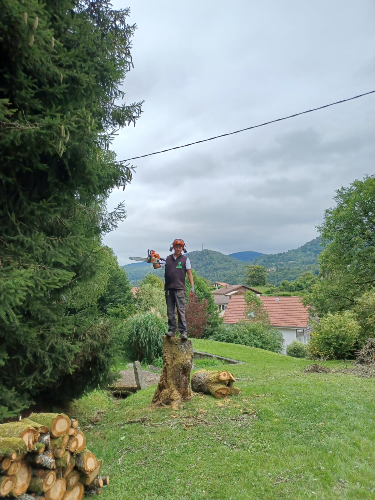 ABATTAGE D ARBRE CERGY 1