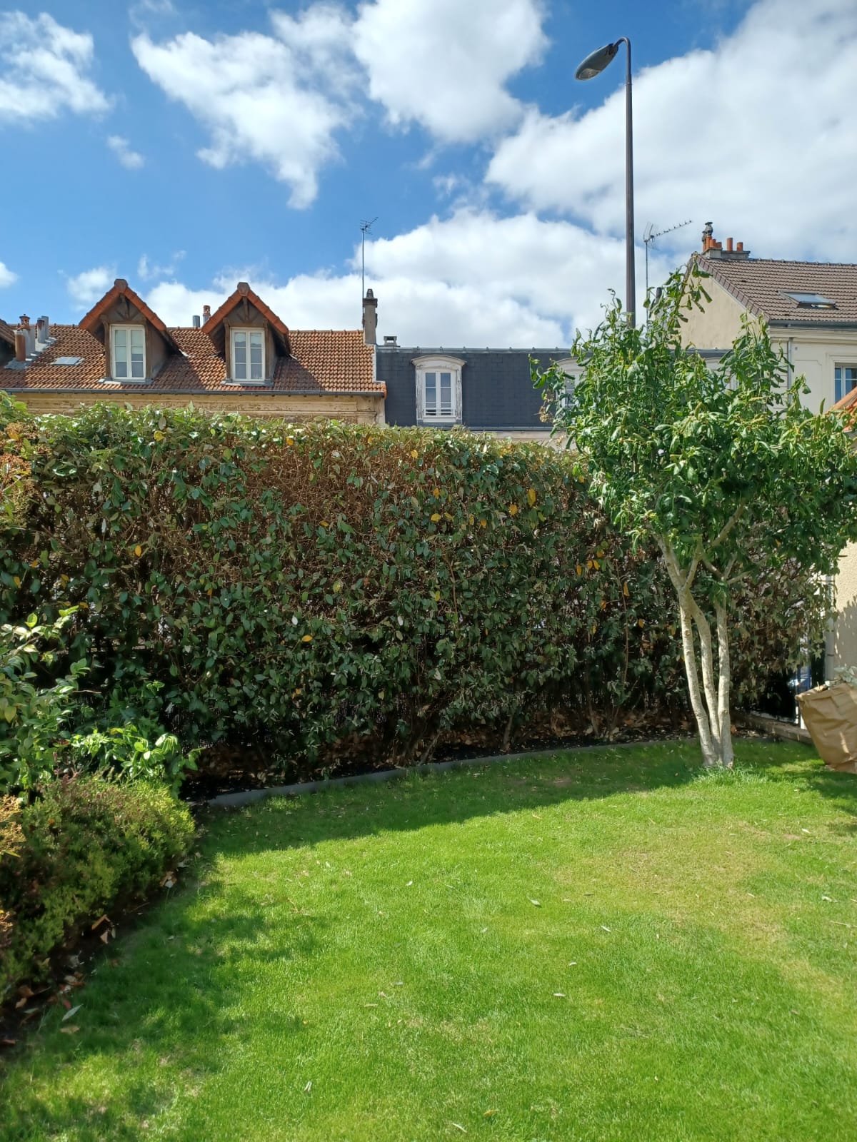 taille de haie cergy 1