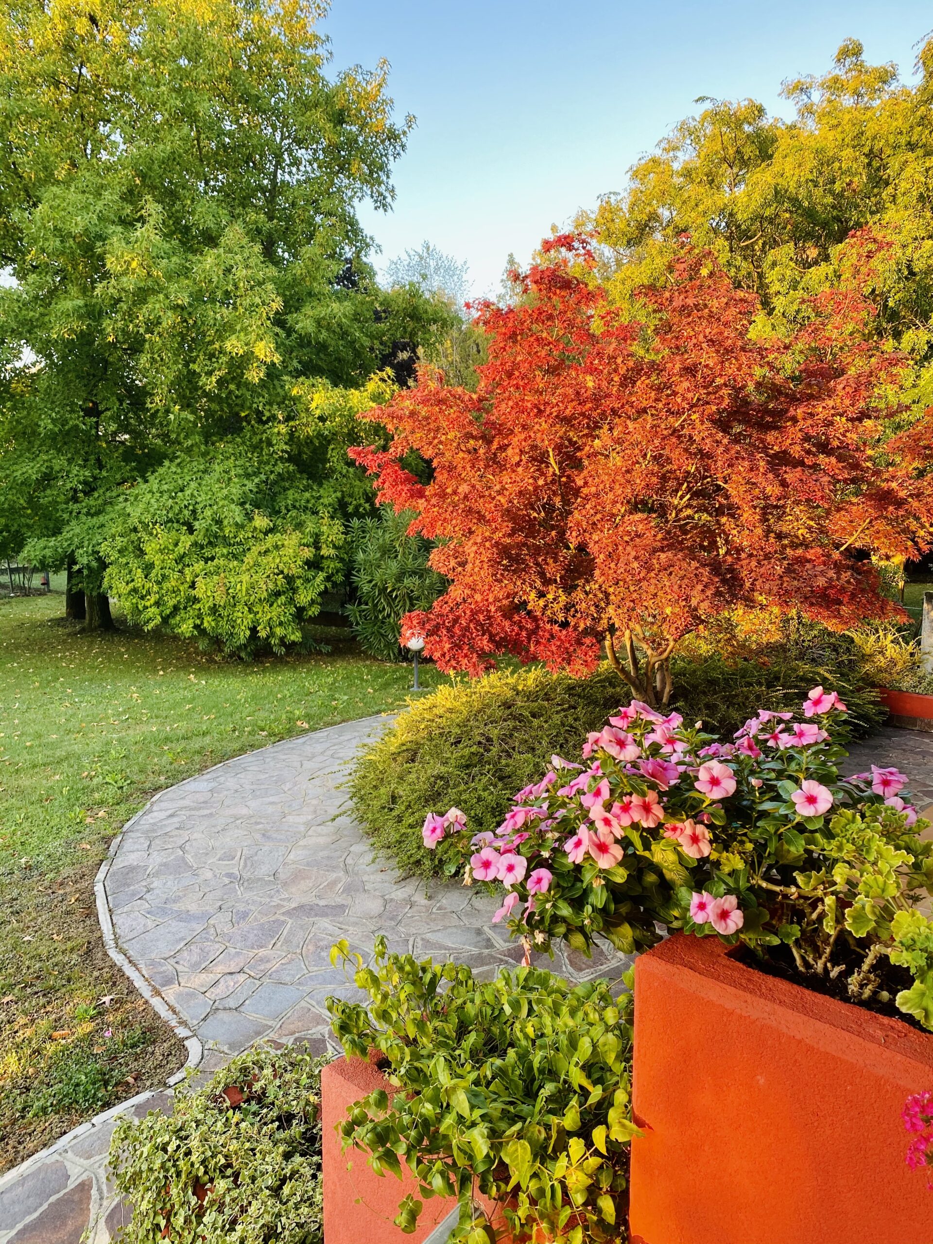 amenagement paysagiste cergy 95